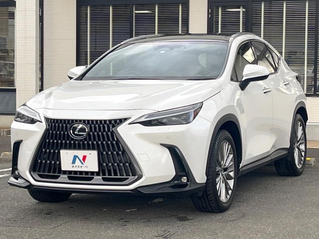 ＮＸ ＮＸ３５０ｈ　バージョンＬ　パノラマルーフ　全周囲カメラ　１００Ｖ電源　プリクラッシュセーフティ　デジタルインナーミラー　禁煙車　ハンズフリーパワーバックドア　革シート　メモリー付パワーシート　シートベンチレーション（67枚目）