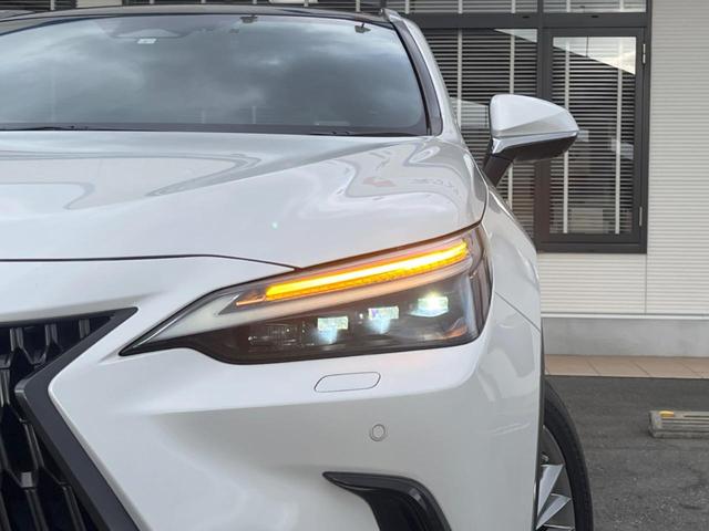 ＮＸ ＮＸ３５０ｈ　バージョンＬ　パノラマルーフ　全周囲カメラ　１００Ｖ電源　プリクラッシュセーフティ　デジタルインナーミラー　禁煙車　ハンズフリーパワーバックドア　革シート　メモリー付パワーシート　シートベンチレーション（73枚目）