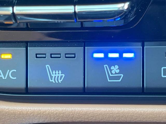 �y�V�[�g�x���`���[�V�����z�ď�͗��������ł��K��w���̔M�⃀����h���A�~�̓G�A�R�������������܂��ă|�J�|�J�ɁI�G�߂��킸���K�ɉ߂����܂��B