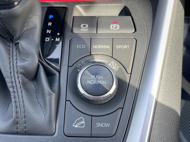 ＲＡＶ４ アドベンチャー　オフロードパッケージ　ＴＲＤエアロ　バックカメラ　ブラインドスポットモニター　セーフティセンス　レーダークルコン　禁煙車　合皮シート　パワーシート　ドラレコ　コーナーセンサー　ＬＥＤヘッド　ＥＴＣ　オートハイビーム（58枚目）