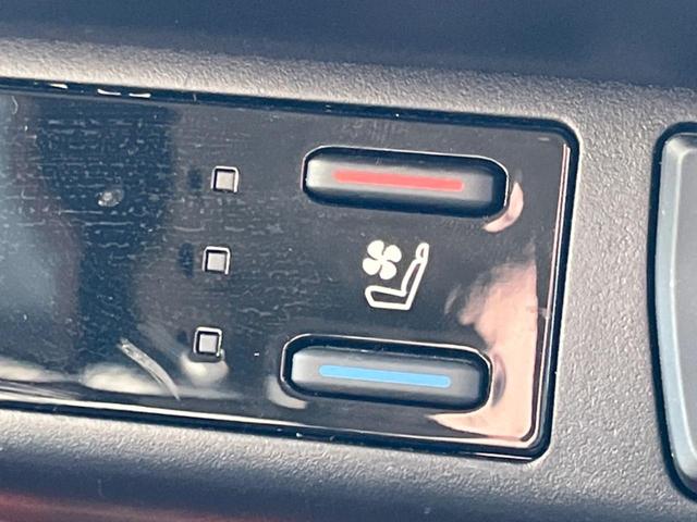 �y�V�[�g�x���`���[�V�����z�ď�͗��������ł��K��w���̔M�⃀����h���A�~�̓G�A�R�������������܂��ă|�J�|�J�ɁI�G�߂��킸���K�ɉ߂����܂��B