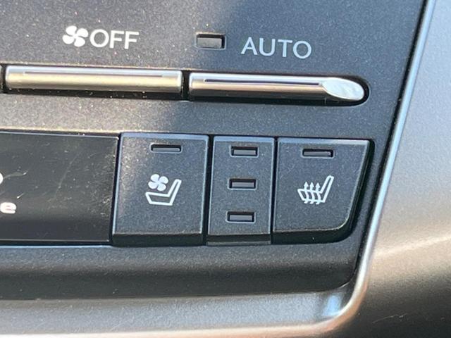 �y�V�[�g�x���`���[�V�����z�ď�͗��������ł��K��w���̔M�⃀����h���A�~�̓G�A�R�������������܂��ă|�J�|�J�ɁI�G�߂��킸���K�ɉ߂����܂��B