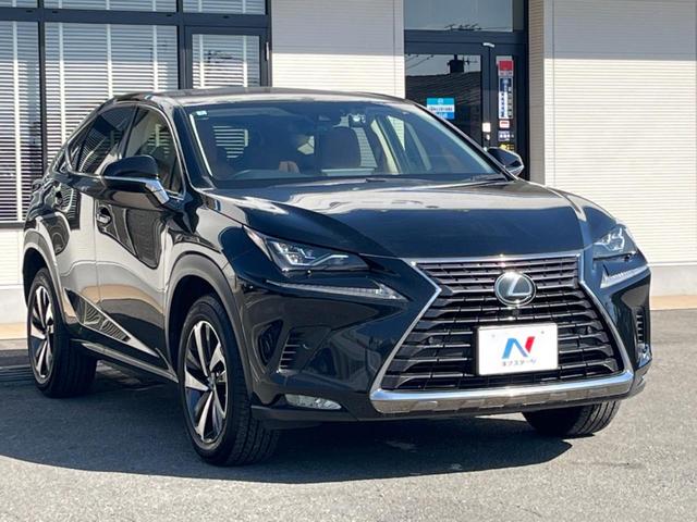 �������x�̃K���X�疌�ŝ����͂������A�㎿�ȃc���E����������B���O����_���J�����؂Ȉ��Ԃ�ی삵�A�F�����E�򉻂�h�~�B�u�e�X�v���b�V���R�[�g�v�A�u�e�v���~�b�T�R�[�g�v���炨�I�т��������܂��B