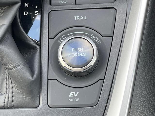 ＲＡＶ４ ハイブリッドＧ　パノラマサンルーフ　デジタルインナーミラー　全周囲カメラ　セーフティセンス　レーダークルーズ　禁煙車　電動リアゲート　シートエアコン　パワーシート　ＬＥＤヘッド　１０．５インチディスプレイオーディオ（68枚目）
