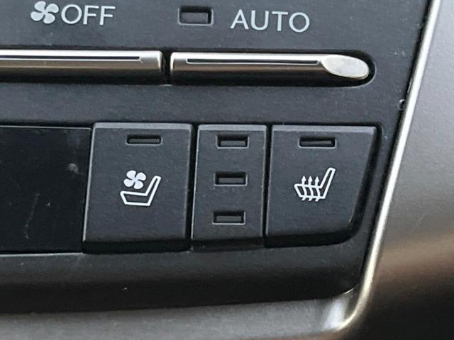 �y�V�[�g�x���`���[�V�����z�ď�͗��������ł��K��w���̔M�⃀����h���A�~�̓G�A�R�������������܂��ă|�J�|�J�ɁI�G�߂��킸���K�ɉ߂����܂��B