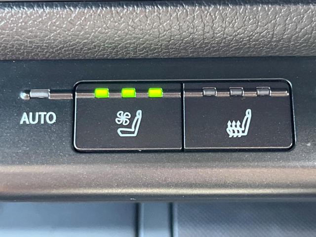 �y�V�[�g�x���`���[�V�����z�ď�͗��������ł��K��w���̔M�⃀����h���A�~�̓G�A�R�������������܂��ă|�J�|�J�ɁI�G�߂��킸���K�ɉ߂����܂��B