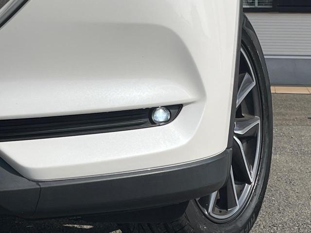 ＣＸ－５ ＸＤ　Ｌパッケージ　純正ＳＤナビ　サイド・バックカメラ　ＢＯＳＥサウンド　スマートシティブレーキサポート　レーダークルーズ　禁煙車　パワーバックドア　レザーシート　メモリーシート　シートヒーター　ドラレコ（26枚目）