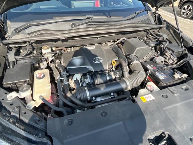 ＮＸ ＮＸ３００　Ｆスポーツ　サンルーフ　純正１０．３インチナビ　全周囲カメラ　ブラインドスポットモニター　三眼ＬＥＤヘッド　セーフティセンス　レーダークルーズ　禁煙車　電動リアゲート　本革シート　シートエアコン　ＥＴＣ２．０（18枚目）