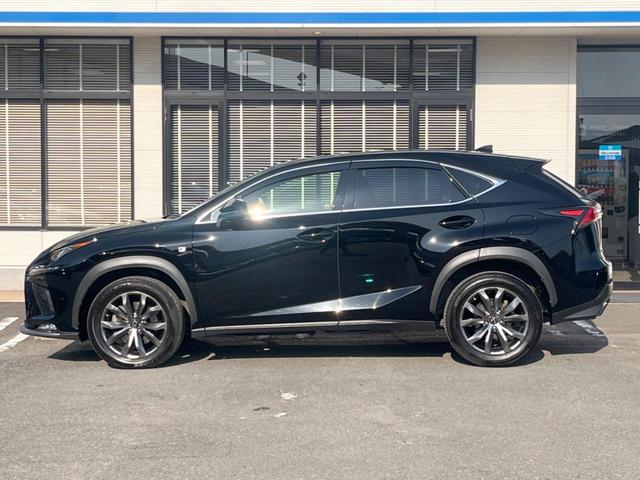 ＮＸ ＮＸ３００　Ｆスポーツ　サンルーフ　純正１０．３インチナビ　全周囲カメラ　ブラインドスポットモニター　三眼ＬＥＤヘッド　セーフティセンス　レーダークルーズ　禁煙車　電動リアゲート　本革シート　シートエアコン　ＥＴＣ２．０（29枚目）