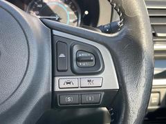 ������®�ɽ���ǽ�ե��롼������ȥ�����۹�®ƻϩ�Ǥ�Ĺ��Υ���Ԥ��ڤˡ�����ư��®�٤��ݤĥ��롼������ȥ����뤬�����ͷڸ������ƥ��Ϣ�Ȥ��������μ�ξ���Τ��Ƽִ֤��ݤĤ褦��®��Ĵ�ᤷ�Ƥ���ޤ����� 5