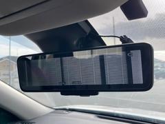 �ڥ���ƥꥸ����ȥ롼��ߥ顼�۸��ʤ��礭�ʲ�ʪ��Ʊ��ԤǸ�������ǧ���Ť餤���Ǥ�¿�������餬���Ƥ�����ξ�����α�����롼��ߥ顼���ɽ�������ꥢ�ʻ볦�Ǿ����γ�ǧ����ǽ�Ǥ��� 7