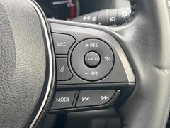 �ڥ졼�������롼������ȥ�����۹�®ƻϩ�Ǥ�Ĺ��Υ���Ԥ��ڤˡ�����ư��®�٤��ݤĥ��롼������ȥ����뤬�����ͷڸ������ƥ��Ϣ�Ȥ��������μ�ξ���Τ��Ƽִ֤��ݤĤ褦��®��Ĵ�ᤷ�Ƥ���ޤ����� 5