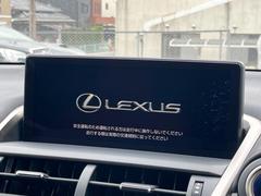 �ڣ�������������磻�ɥʥӡ۹�鴶�ȥ���ѥ��ȤΤ����緿�磻�ɥʥӤ��������Ƽ索���ǥ������Ϥ�����󡢲�Ĺ�磻�ɲ��̤ǤΥޥåף�ʬ��ɽ���ʤɡ���������⤤�ʥӤǤ��� 5