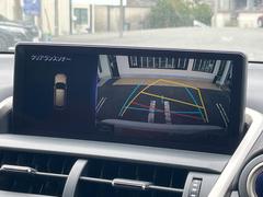 �ڥ����ɡ��Хå���������֡���ֻ��˻�Ѥˤʤ꤬���ʱ�ž�ʤ��鸫���Ť餤�����ɤȥꥢ�ξ㳲ʪ���ǧ�Ǥ��ޤ�����ŷ������֤ʤɤ��ä˳������Ƥ���륢���ƥ�Ǥ��� 6