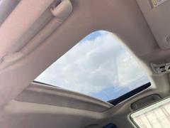 �ڥ���롼�ա۳��������äפ�δ�������������롼�դ����夵��Ƥ��ޤ��������������������줿��ʿ���ڤ���ʳ��ˤ⡢����ζ������ñ�˴����Ǥ��Ʋ�Ŭ�Ǥ��� 3