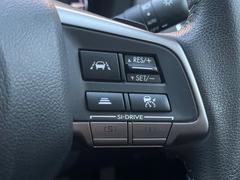 ������®�ɽ���ǽ�ե��롼������ȥ�����۹�®ƻϩ�Ǥ�Ĺ��Υ���Ԥ��ڤˡ�����ư��®�٤��ݤĥ��롼������ȥ����뤬�����ͷڸ������ƥ��Ϣ�Ȥ��������μ�ξ���Τ��Ƽִ֤��ݤĤ褦��®��Ĵ�ᤷ�Ƥ���ޤ����� 5