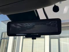 �ڥ���ƥꥸ����ȥ롼��ߥ顼�۸��ʤ��礭�ʲ�ʪ��Ʊ��ԤǸ�������ǧ���Ť餤���Ǥ�¿�������餬���Ƥ�����ξ�����α�����롼��ߥ顼���ɽ�������ꥢ�ʻ볦�Ǿ����γ�ǧ����ǽ�Ǥ��� 6