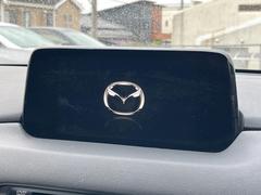 �ڥޥĥ����ͥ��ȥʥӡۼ����ʷ�ϵ��˥ޥå��������η������פΥʥӡ��Ƽ���������£�������������������͡��ʵ�ǽ���ڤ���ޤ���ľ��Ū�ʥ����������ǽ�ǡ��Ȥ�������ɹ��Ǥ��� 4