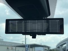 �ڥ���ƥꥸ����ȥ롼��ߥ顼�۸��ʤ��礭�ʲ�ʪ��Ʊ��ԤǸ�������ǧ���Ť餤���Ǥ�¿�������餬���Ƥ�����ξ�����α�����롼��ߥ顼���ɽ�������ꥢ�ʻ볦�Ǿ����γ�ǧ����ǽ�Ǥ��� 6