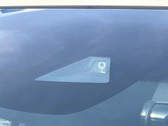 �ڥۥ�����󥷥󥰡�������������μ�ξ����ǧ���������ͤ������ʻ��Ϸ���ȥ֥졼���Ǿ��Ͳ�����ﳲ�ڸ��򥢥����ȡ��������˥ɥ饤�֤򤪳ڤ��ߤ��������ޤ��� 5