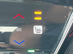 �ڥ����ȥҡ������۴������˽������륷���ȥҡ������������������᤯���ޤäƤ����ΤǴ�����οͤ�¿��Ǥ��͢���������β����ϴ��礹�뤫���ꡢ�Ȥ������ˤ�򤪤�����Ǥ��� 7