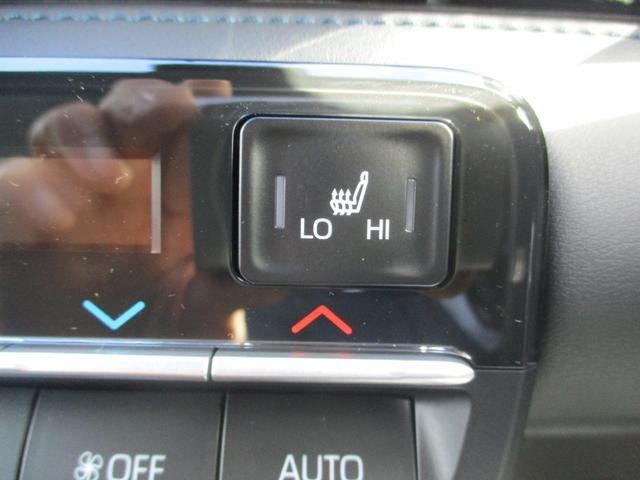 ヴォクシー ハイブリッドＳ－Ｚ（17枚目）