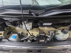 �������若�� �Уڥ����ܡ��ϥ��롼�ա����ѥ�ɥ������ͷڸ��֥졼���������ȥҡ����� 0802860A30260413W002 7