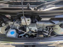 �Σ֣���������åѡ��ꥪ �š��ϥ��롼�ա����ѥ�ɥ������ͷڸ����֡������ʡ����󥵡� 0802860A30260413W006 7