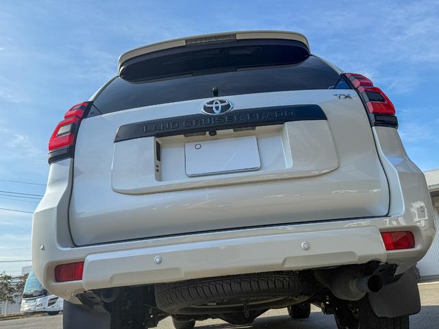ランドクルーザープラド TX Lパッケージ マットブラックエディション メーカーOP9型ディスプレイオーディオ/Tコネクトナビ/スーパーライブサウンド/マルチテレインモニター/IGLA2セキュリティ(キーフォグ2個付属)/7人乗り/ルーフレール(ブラック)/寒冷地仕様(14枚目)