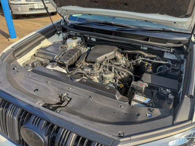 ランドクルーザープラド TX Lパッケージ マットブラックエディション メーカーOP9型ディスプレイオーディオ/Tコネクトナビ/スーパーライブサウンド/マルチテレインモニター/IGLA2セキュリティ(キーフォグ2個付属)/7人乗り/ルーフレール(ブラック)/寒冷地仕様(65枚目)
