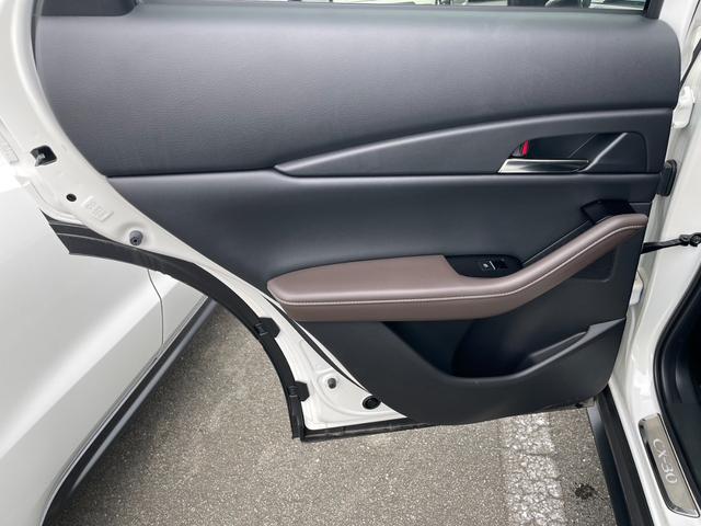 20S Lパッケージ 純正 メモリーナビ/衝突安全装置/車線逸脱防止支援システム/シート フルレザー/パーキングアシスト バックガイド/電動バックドア/ヘッドランプ LED/ETC/EBD付ABS 革シート バックカメラ(31枚目)