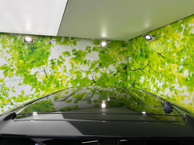 N-BOXカスタム G・Lパッケージ 新品タイヤ/純正 SDナビ/電動スライドドア/ヘッドランプ HID/Bluetooth接続/ETC/EBD付ABS/横滑り防止装置/アイドリングストップ/バックモニター/フルセグTV/DVD(45枚目)