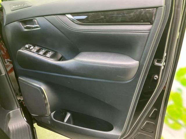 �u���̎Ԃ̎ʐ^�������ƌ������v�u��Ԃ��C�ɂȂ�v�u���̑����͂��Ă���H�v�ǂ�ȏ����ȋ^��ł����C�y�ɂ��₢���킹���������I