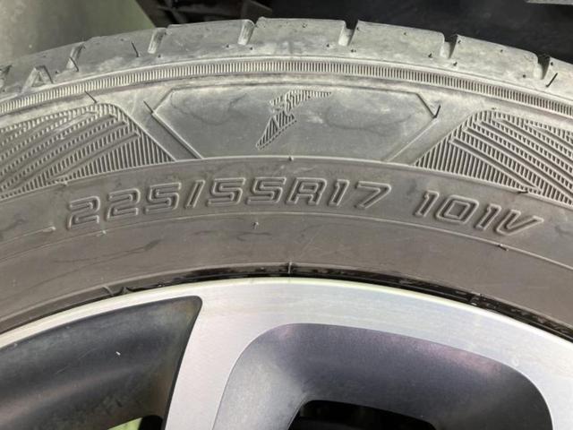 �u���̎Ԃ̎ʐ^�������ƌ������v�u��Ԃ��C�ɂȂ�v�u���̑����͂��Ă���H�v�ǂ�ȏ����ȋ^��ł����C�y�ɂ��₢���킹���������I