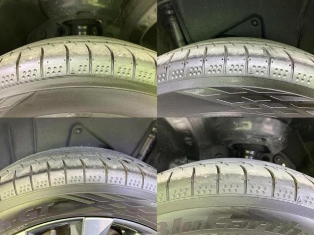 �u���̎Ԃ̎ʐ^�������ƌ������v�u��Ԃ��C�ɂȂ�v�u���̑����͂��Ă���H�v�ǂ�ȏ����ȋ^��ł����C�y�ɂ��₢���킹���������I