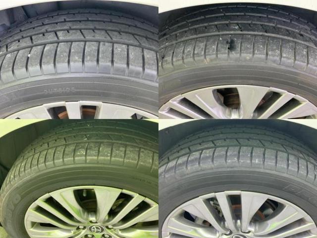 �u���̎Ԃ̎ʐ^�������ƌ������v�u��Ԃ��C�ɂȂ�v�u���̑����͂��Ă���H�v�ǂ�ȏ����ȋ^��ł����C�y�ɂ��₢���킹���������I