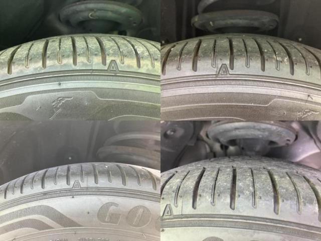 �u���̎Ԃ̎ʐ^�������ƌ������v�u��Ԃ��C�ɂȂ�v�u���̑����͂��Ă���H�v�ǂ�ȏ����ȋ^��ł����C�y�ɂ��₢���킹���������I