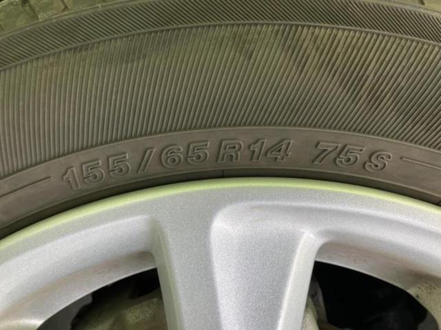 �u���̎Ԃ̎ʐ^�������ƌ������v�u��Ԃ��C�ɂȂ�v�u���̑����͂��Ă���H�v�ǂ�ȏ����ȋ^��ł����C�y�ɂ��₢���킹���������I