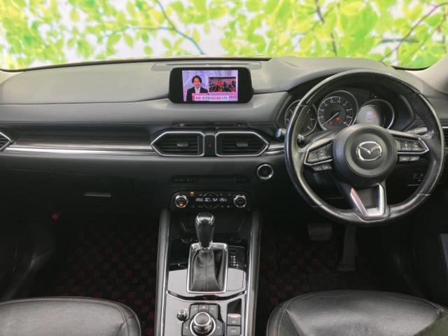 �u���̎Ԃ̎ʐ^�������ƌ������v�u��Ԃ��C�ɂȂ�v�u���̑����͂��Ă���H�v�ǂ�ȏ����ȋ^��ł����C�y�ɂ��₢���킹���������I