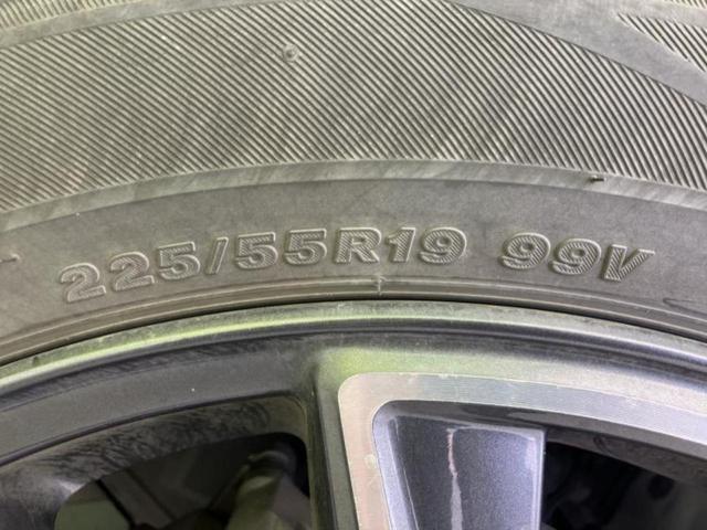 �u���̎Ԃ̎ʐ^�������ƌ������v�u��Ԃ��C�ɂȂ�v�u���̑����͂��Ă���H�v�ǂ�ȏ����ȋ^��ł����C�y�ɂ��₢���킹���������I