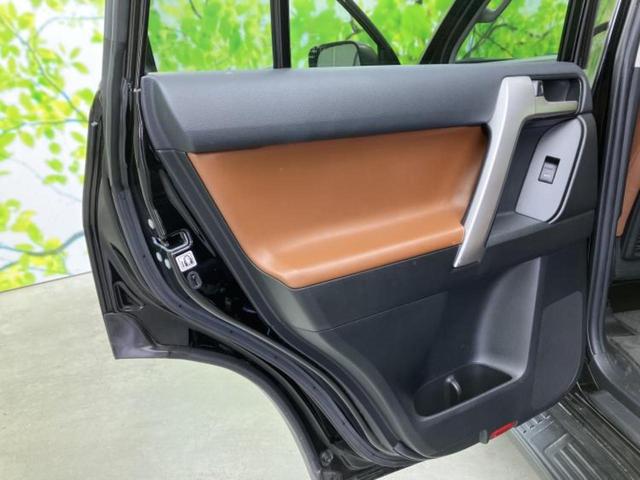 �u���̎Ԃ̎ʐ^�������ƌ������v�u��Ԃ��C�ɂȂ�v�u���̑����͂��Ă���H�v�ǂ�ȏ����ȋ^��ł����C�y�ɂ��₢���킹���������I