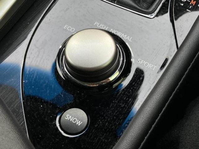 �v�d�b�`�q�r�̓W����ł͎��ۂɌ��āA�G���Ă��Ԃ����I�т��������܂��I�m���̖L�x�ȉc�ƃX�^�b�t���l�X�ȃJ�[���C�t������Ă������܂��I