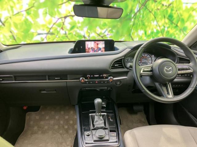 �u���̎Ԃ̎ʐ^�������ƌ������v�u��Ԃ��C�ɂȂ�v�u���̑����͂��Ă���H�v�ǂ�ȏ����ȋ^��ł����C�y�ɂ��₢���킹���������I