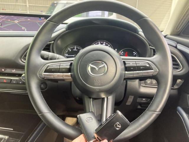 �v�d�b�`�q�r�̓W����ł͎��ۂɌ��āA�G���Ă��Ԃ����I�т��������܂��I�m���̖L�x�ȉc�ƃX�^�b�t���l�X�ȃJ�[���C�t������Ă������܂��I