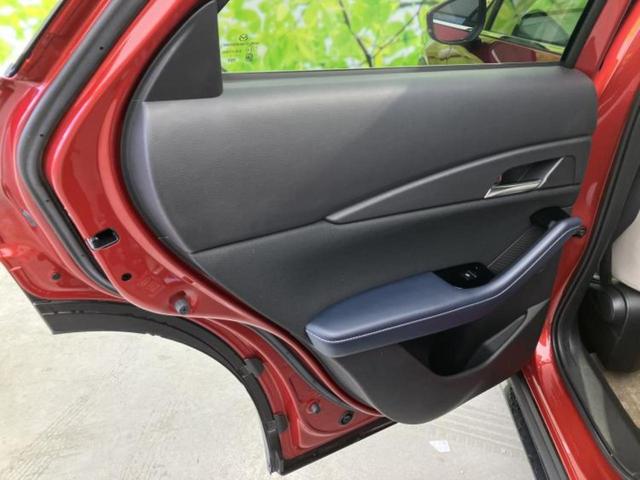 �u���̎Ԃ̎ʐ^�������ƌ������v�u��Ԃ��C�ɂȂ�v�u���̑����͂��Ă���H�v�ǂ�ȏ����ȋ^��ł����C�y�ɂ��₢���킹���������I