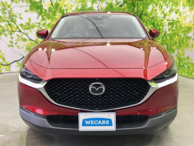 ������̂��Ԃ͂������ł��傤���H�����ł��C�ɂȂ��Ă��������܂����琥�񂨖₢���킹���������I����ɂ��Ԃ̏ڍׂ������肢�����܂��I