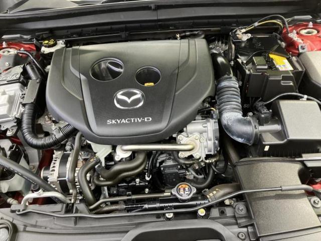 �S���ɓX�܂�W�J���Ă���̂łǂ��ł������񂹂��\�ł��I���̎Ԃ��C�ɂȂ邯�ǉ���������E�E�E�ƒ��߂�K�v�͂���܂���I���ʓr������K�v�ł��B