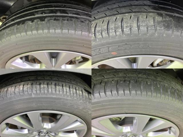 �u���̎Ԃ̎ʐ^�������ƌ������v�u��Ԃ��C�ɂȂ�v�u���̑����͂��Ă���H�v�ǂ�ȏ����ȋ^��ł����C�y�ɂ��₢���킹���������I