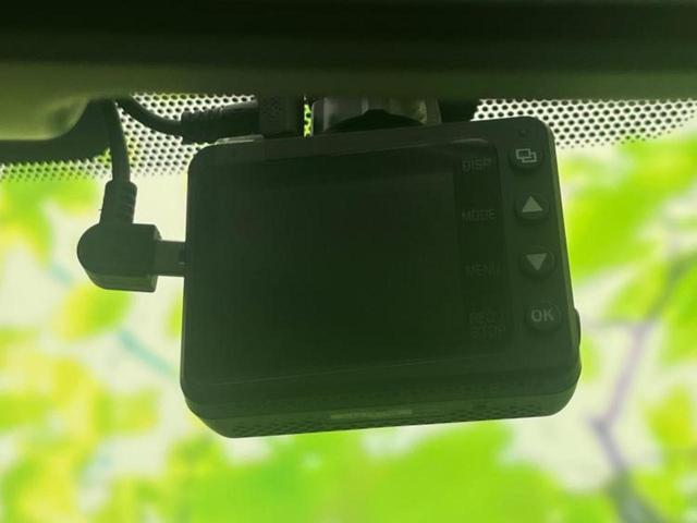 �v�d�b�`�q�r�̓W����ł͎��ۂɌ��āA�G���Ă��Ԃ����I�т��������܂��I�m���̖L�x�ȉc�ƃX�^�b�t���l�X�ȃJ�[���C�t������Ă������܂��I