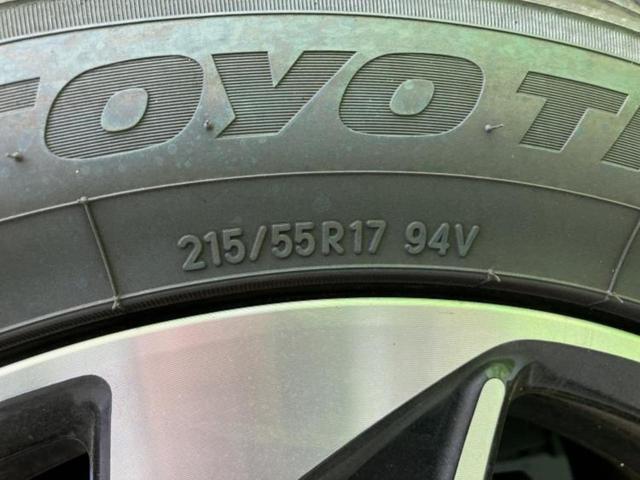 �u���̎Ԃ̎ʐ^�������ƌ������v�u��Ԃ��C�ɂȂ�v�u���̑����͂��Ă���H�v�ǂ�ȏ����ȋ^��ł����C�y�ɂ��₢���킹���������I